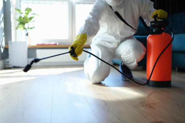 Trusted Sewage Cleanup service in Greenville, PA - Four Month Blood Cleanse